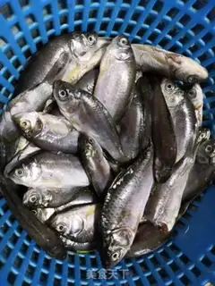 Make Fried catfish step 4