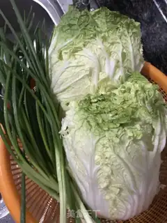 Make Emerald dumplings step 3