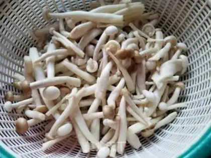 Make Shrimp mushrooms step 2