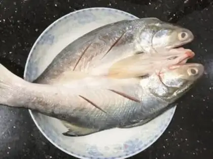 Make There are fish all the time step 2