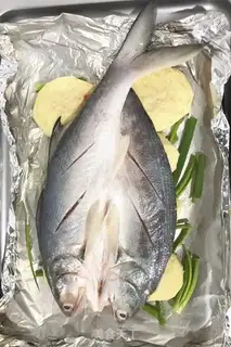 Make There are fish all the time step 4