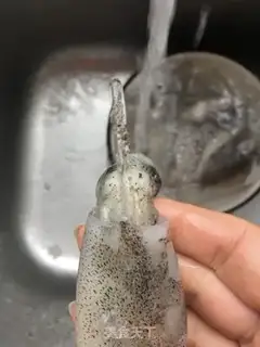 Make The white clarinet step 1