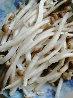 Make Chicken stew mushrooms step 5
