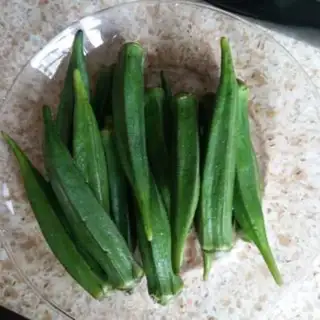 Make The white sunflower step 0