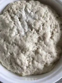 Make A cabbage fan step 0