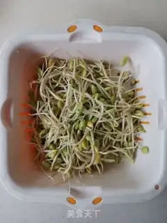 Make The bean sprouts step 1