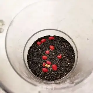 Make Black sesame peanut pie step 1