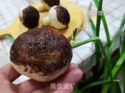 Make Shroom buns step 12