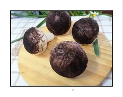 Make Shroom buns step 13