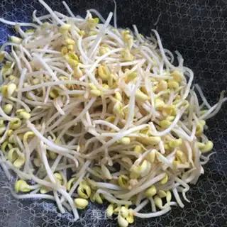 Make Garlic sprouts step 4