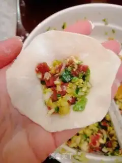 Make Beef dumplings step 6