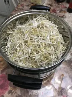 Make Sour green bean sprouts step 0