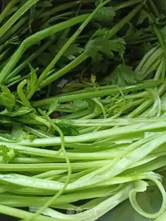 Make The celery beans and the spinal lobe step 0