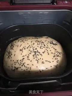 Make Bread step 3