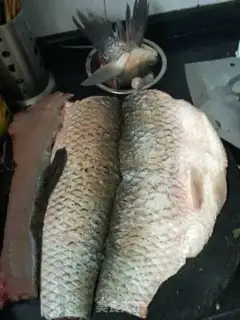 Make Sourfish step 1