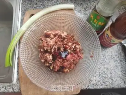 Make Beef dumplings step 0