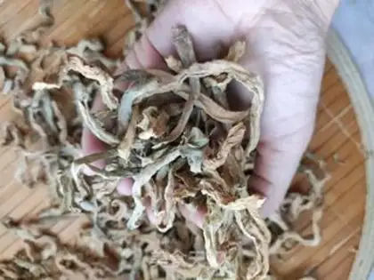 Make A radish step 0