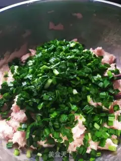 Make Pork dumplings step 6
