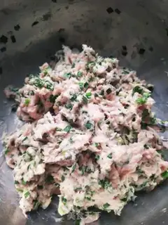 Make Pork dumplings step 7