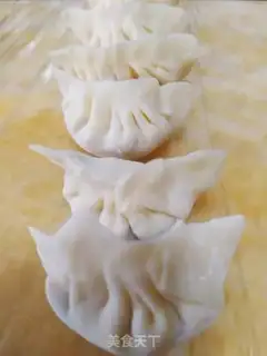 Make Pork dumplings step 8