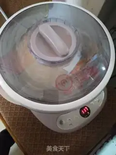 Make Beanie pork pie bread step 0