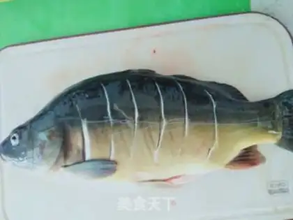 Make Carp step 0