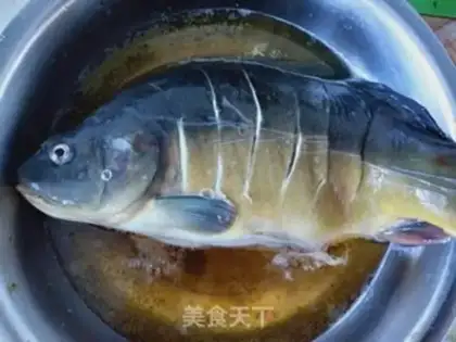 Make Carp step 1