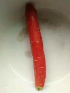 Make Suumariko step 0