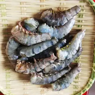 Make Shrimp step 4