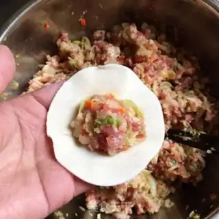 Make Pork dumplings step 3