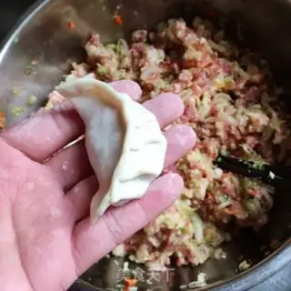 Make Pork dumplings step 4