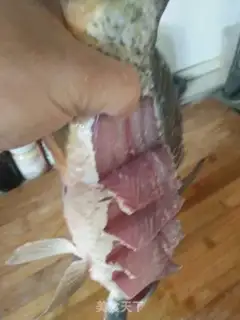 Make The fish jump the dragon door step 1