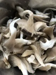 Make Blow mushrooms step 0
