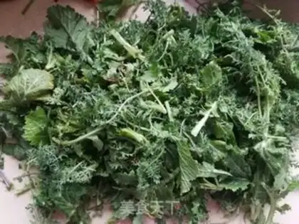 Make Magnetic vegetable seedlings step 2