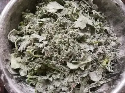 Make Magnetic vegetable seedlings step 5