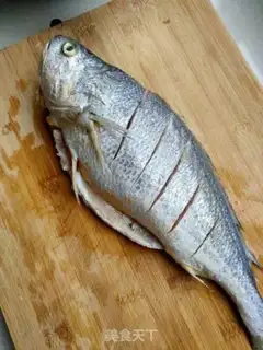 Make Vacuated yellowfish step 0