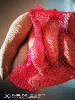 Make Microwave oven roasted melon step 0