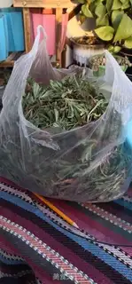 Make Steam step 0