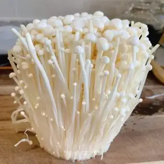 Make ♪ Onion ♪ step 0