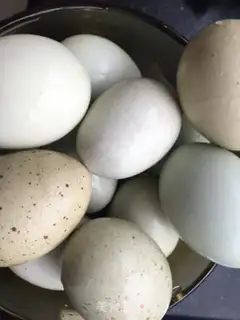 Make Five spicy tea eggs step 0