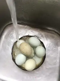 Make Five spicy tea eggs step 10