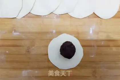Make Tofu from halogen step 14