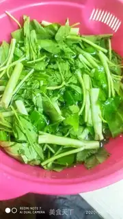 Make Empty cabbage step 0