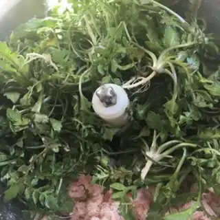 Make Sphinx soup step 7
