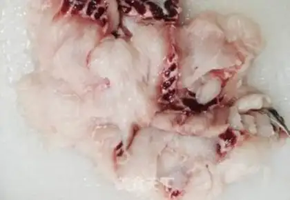 Make Sourfish step 2
