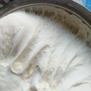 Make Milk buns step 2