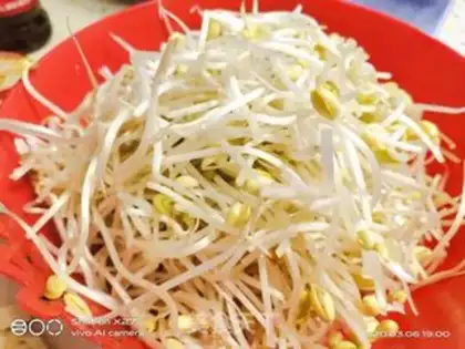 Make Bean sprout sausage step 0