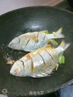 Make Yellow finfish step 2