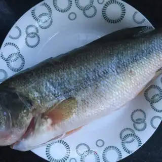 Make Oily bass step 0