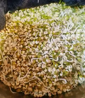 Make Green bean sprouts step 5